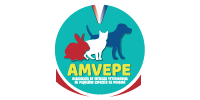 Logo-AMVEPE-200x100