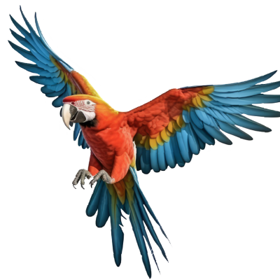 guacamaya